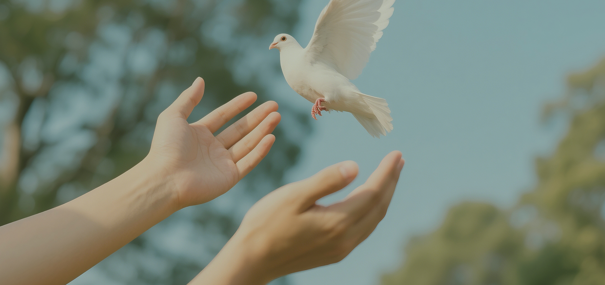 햇살 아래 세워진 십자가